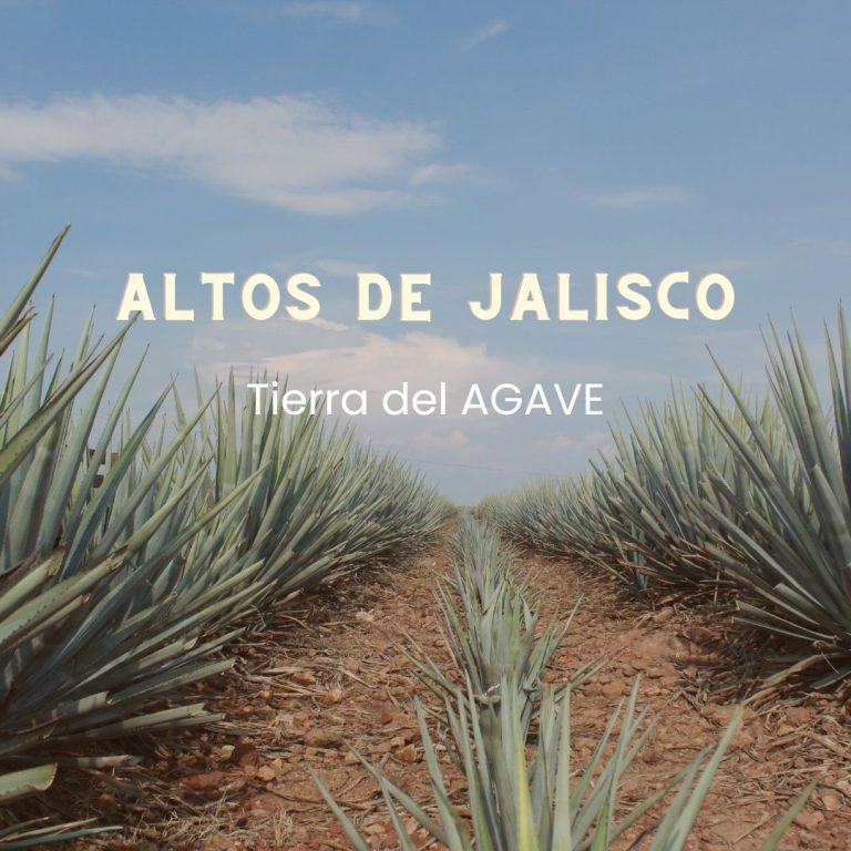 WhatsApp Image 2025-02-27 at 08.48.38 (1)