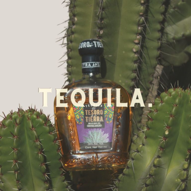 WhatsApp Image 2025-02-27 at 08.48.38 (2)